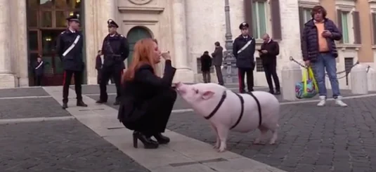Michela Brambilla con un maiale davanti a Montecitorio
